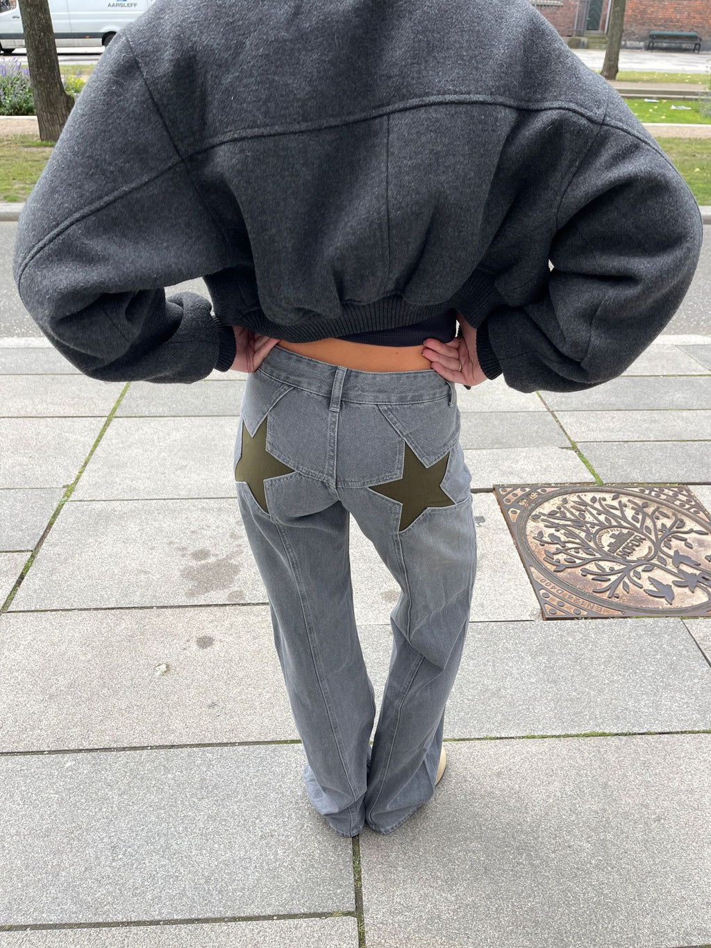 Hot Back Five-pointed Star Color Contrast Women's Jeans