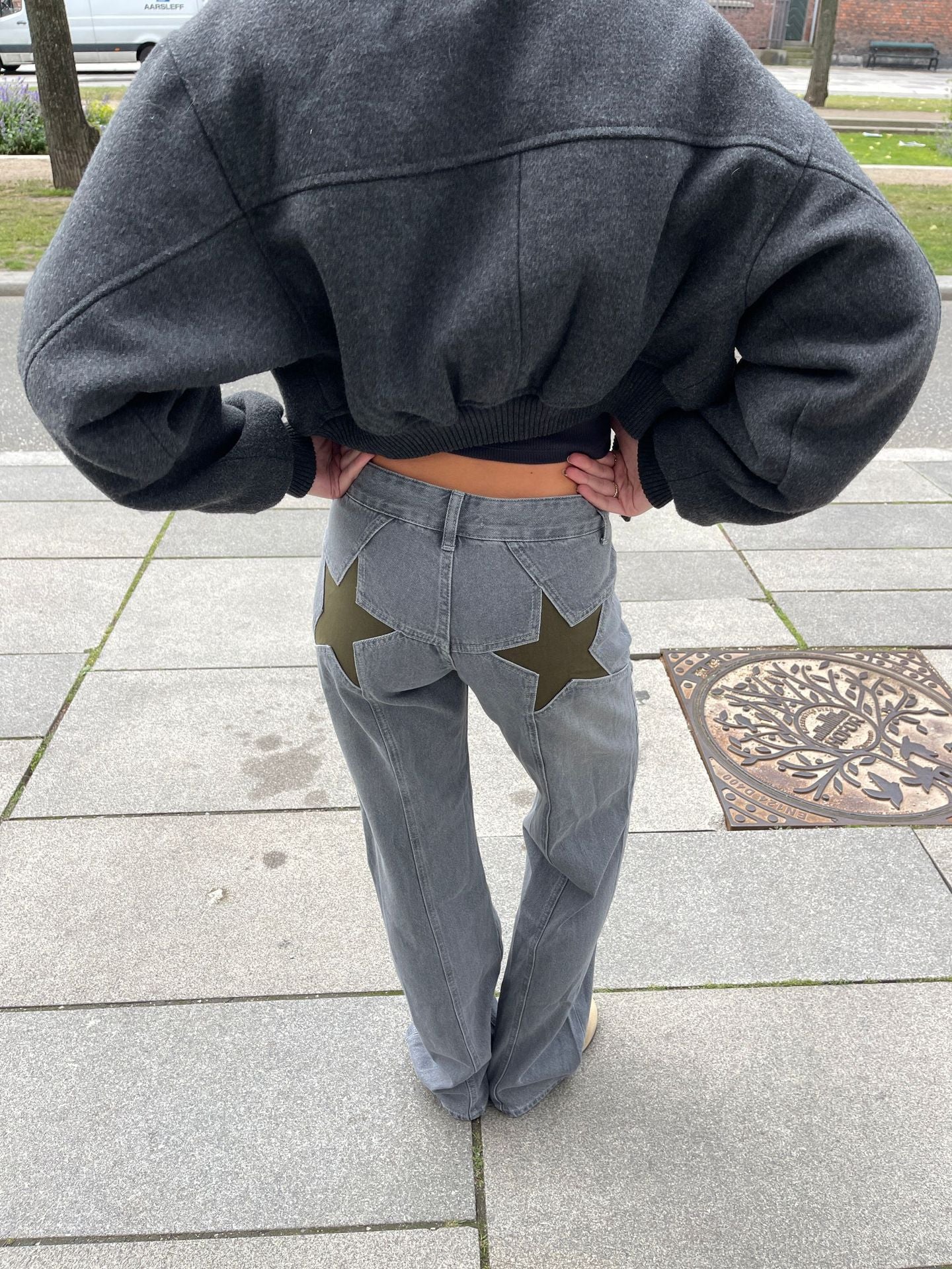 Hot Back Five-pointed Star Color Contrast Women's Jeans