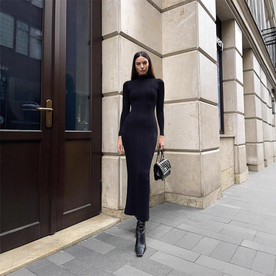 Women's Turtleneck Long Sleeve Tight Elegant French Style Skirts