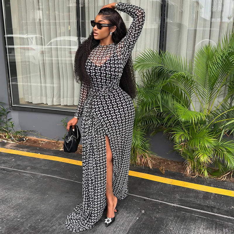 Women's Commute Split Slightly Transparent Waist Hip Printed Turtleneck Dress