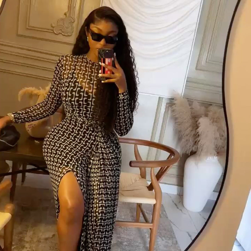 Women's Commute Split Slightly Transparent Waist Hip Printed Turtleneck Dress